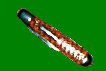Joel Henrys pocket knife